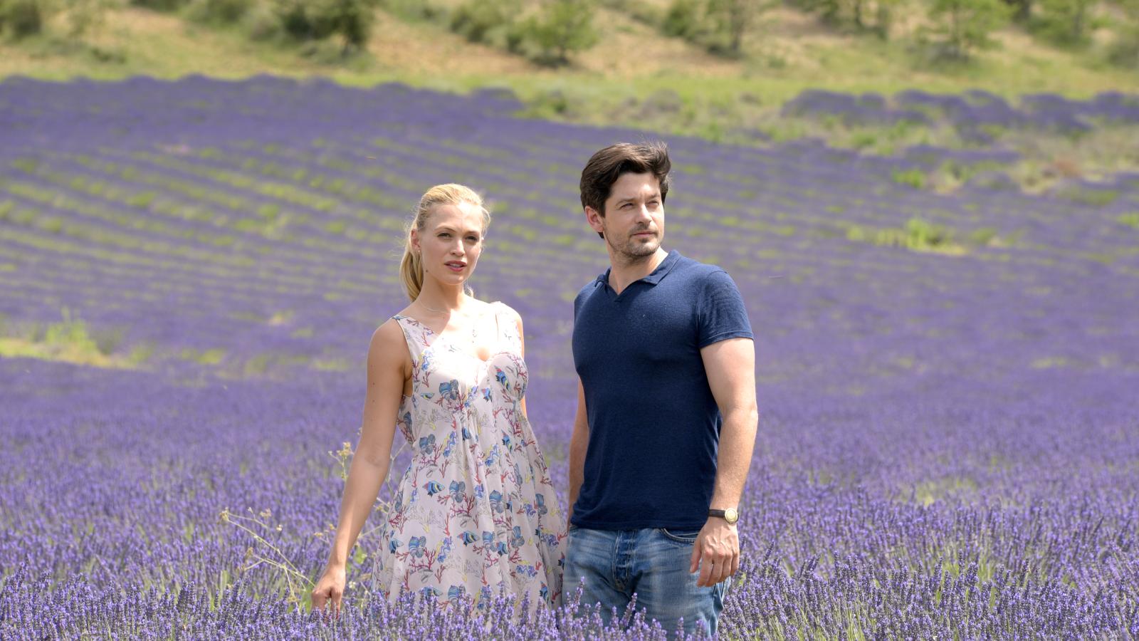 A Summer in Southern France
