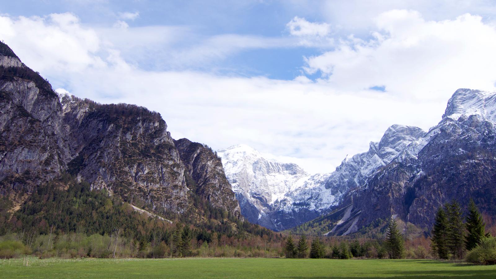 The Alps