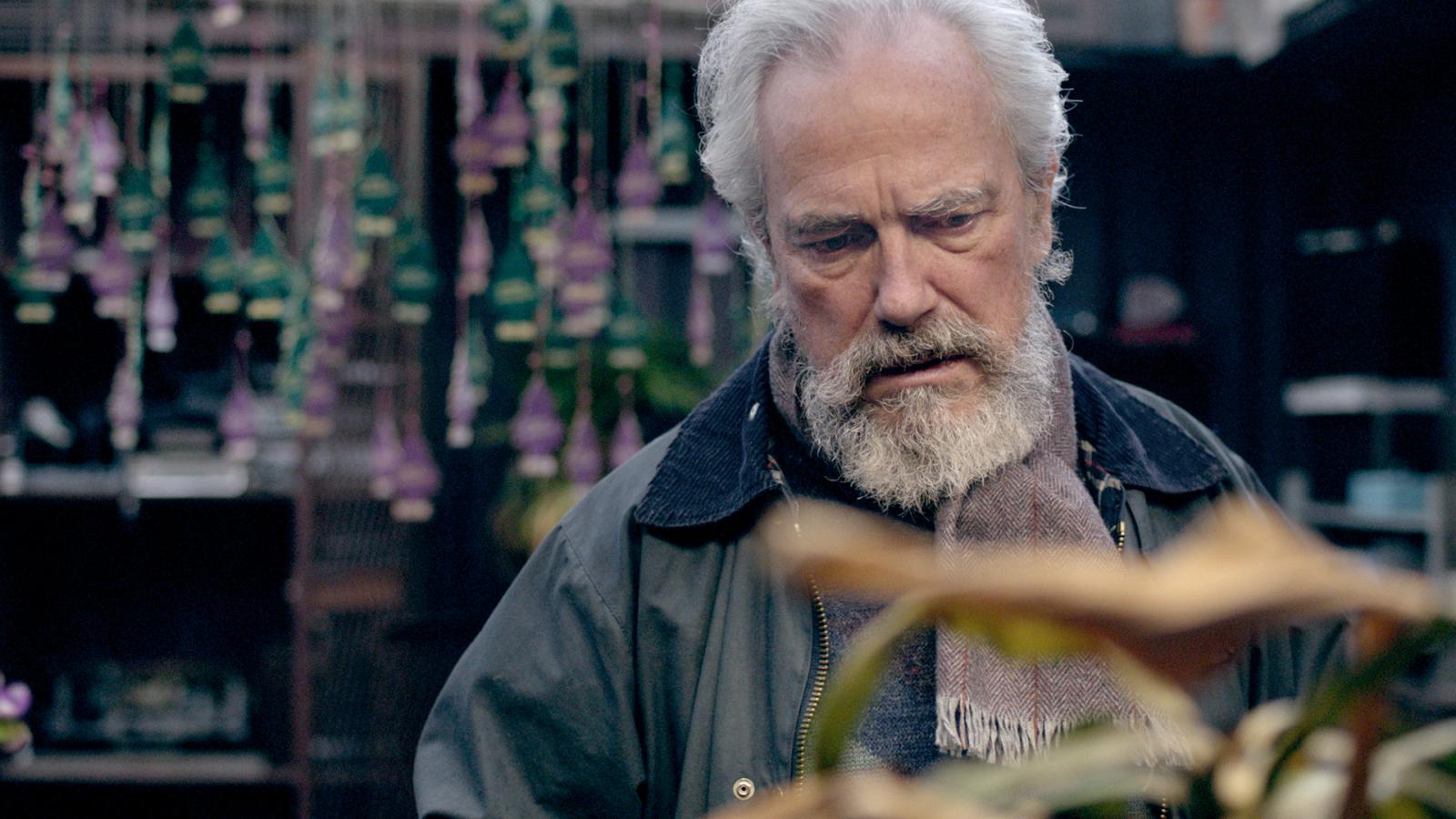 Wood for the Trees (eps. 8)