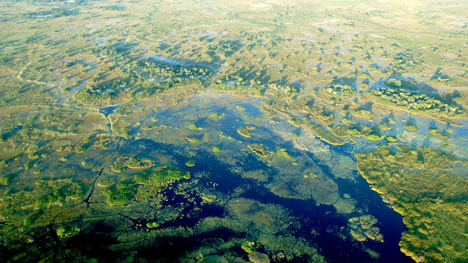 Okavango River (Episode 4)