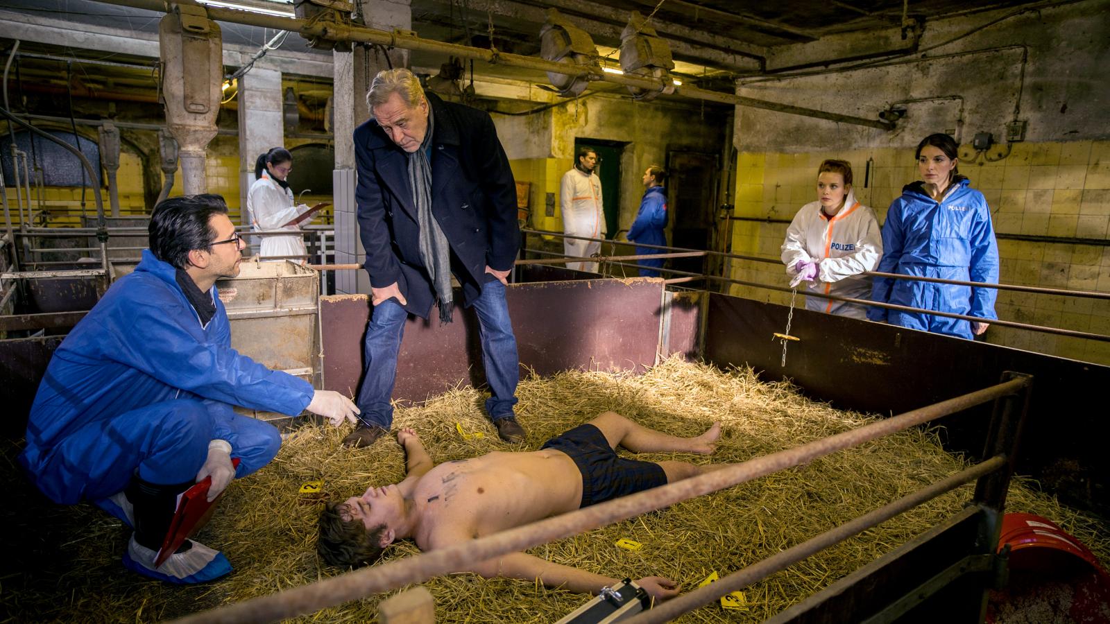 Death in the Pigsty