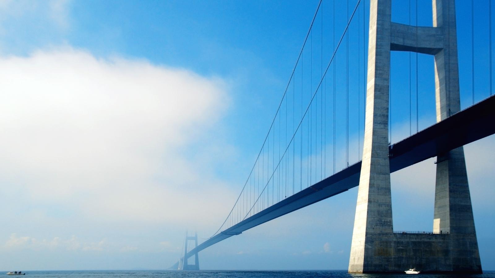 Suspension Bridges 