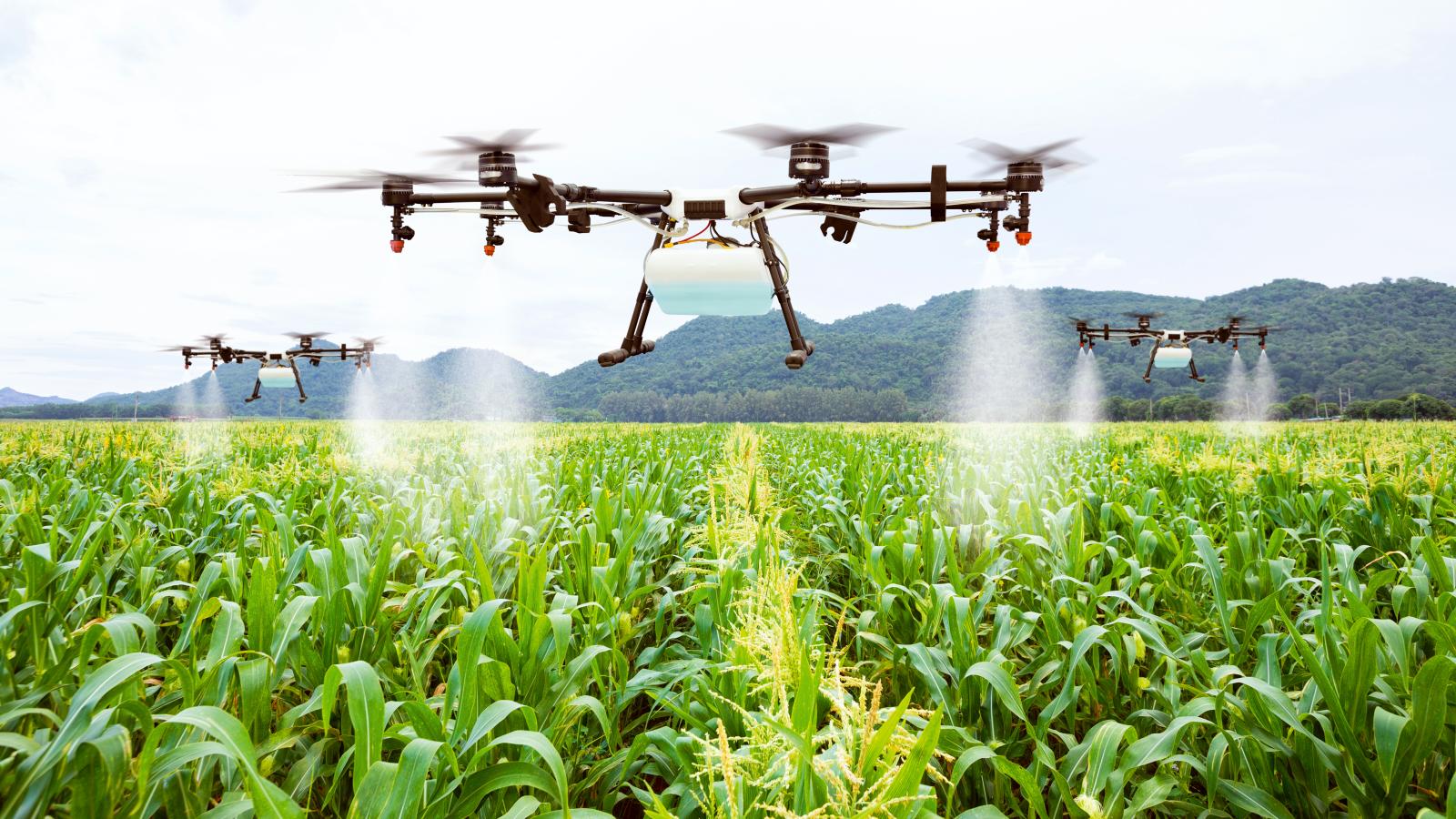 Agriculture