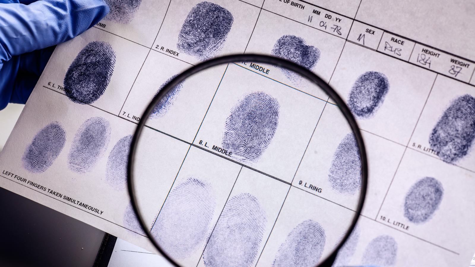 Criminalistics