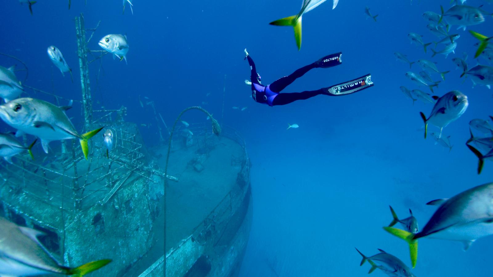 24 Hours on the Reef (Episode 5)