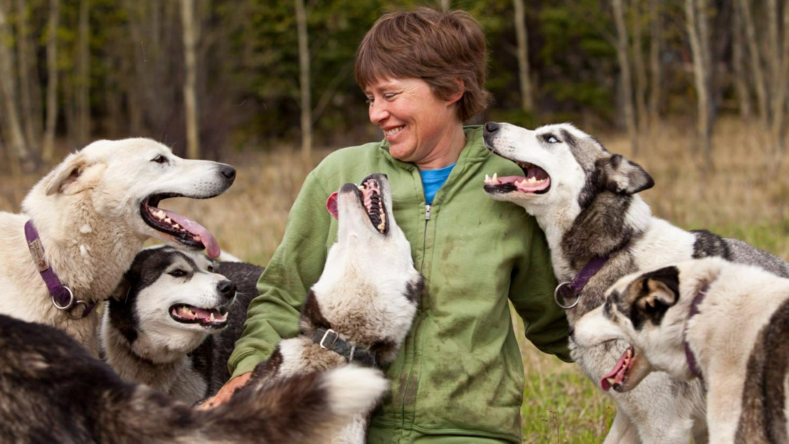 Splendour in the Yukon - Kluane National Park