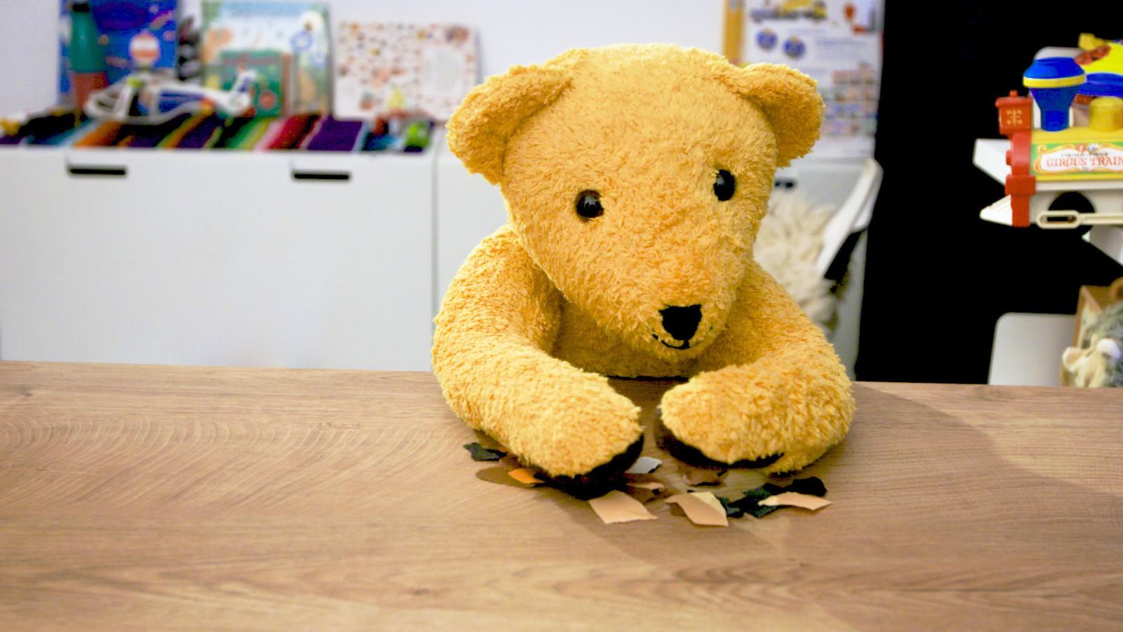 Bear Collage
