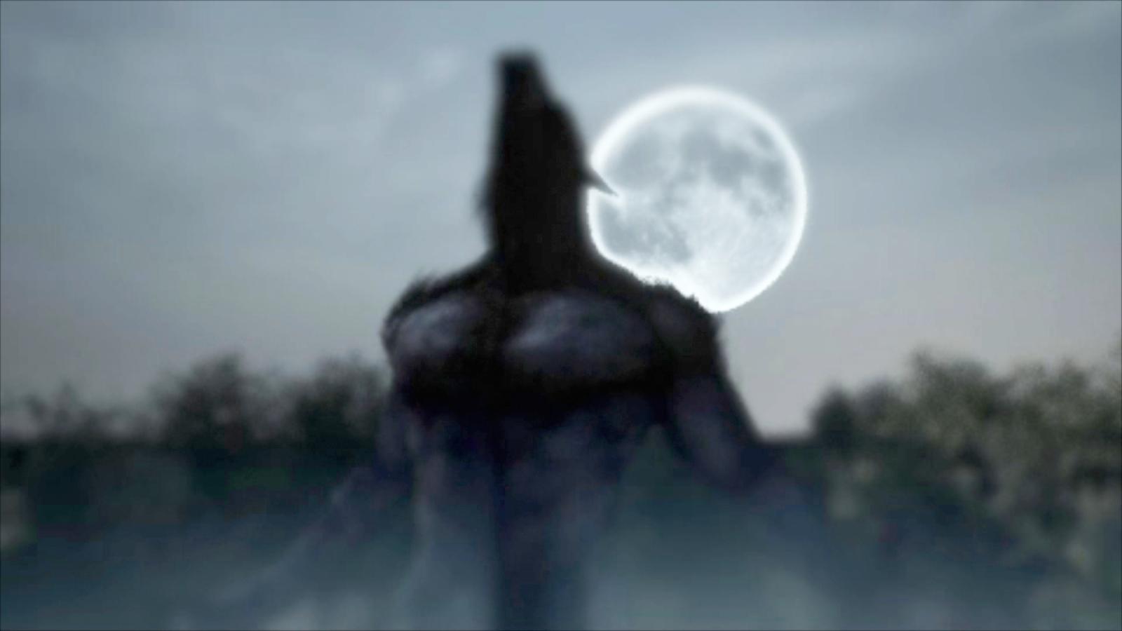 Werewolves 