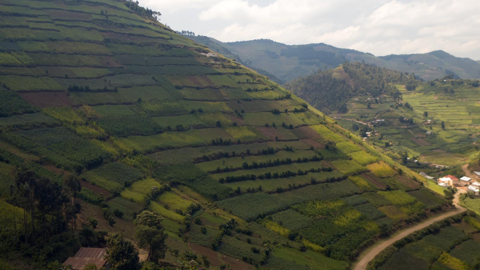 Africa from Above: Uganda (eps. 5)