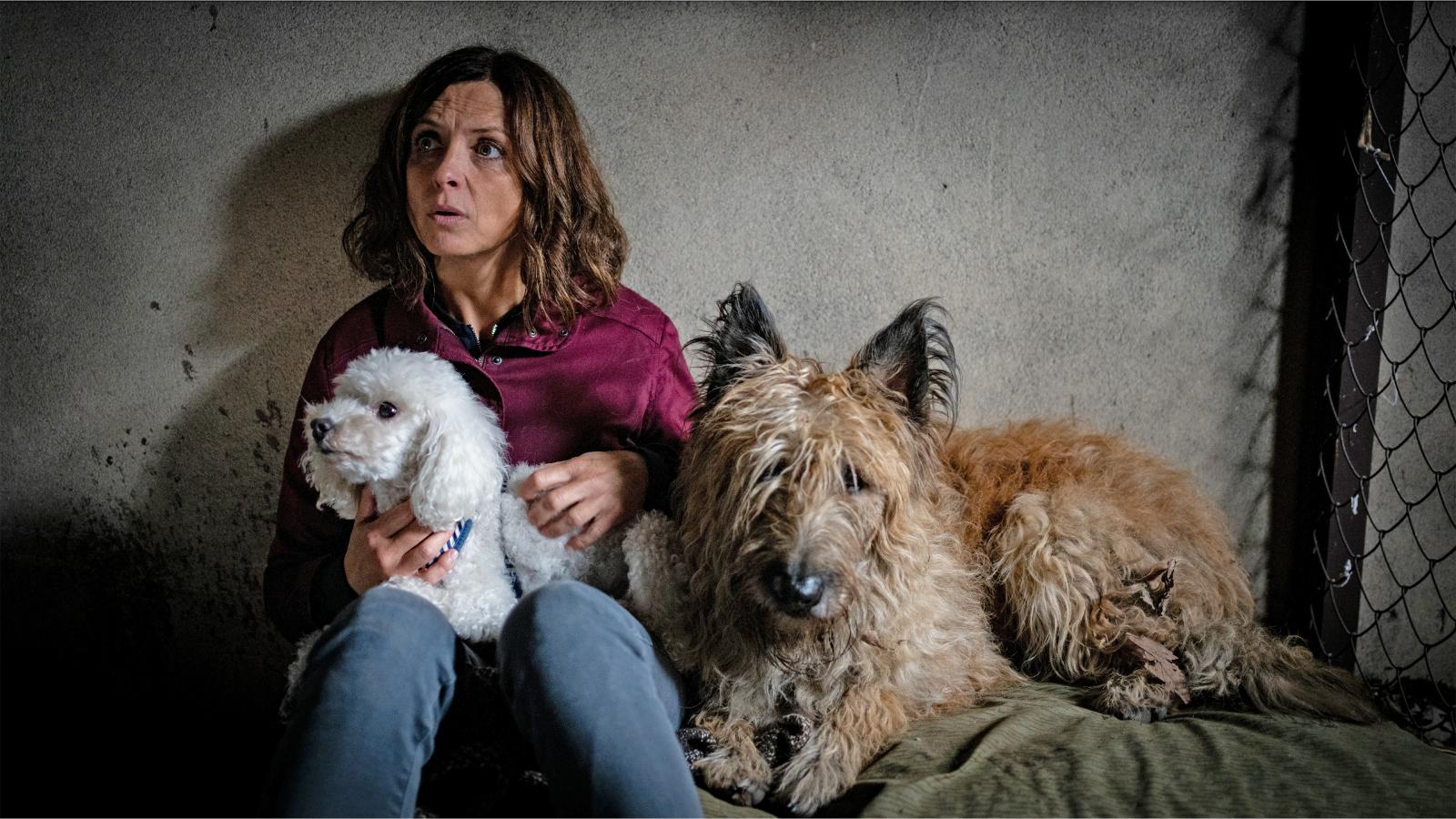 Nord Nord Mord - Sievers und der verlorene Hund