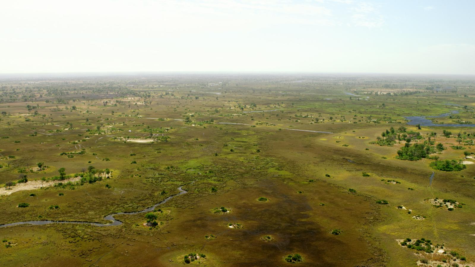Massive Africa - Okavango Delta (Episode 3)