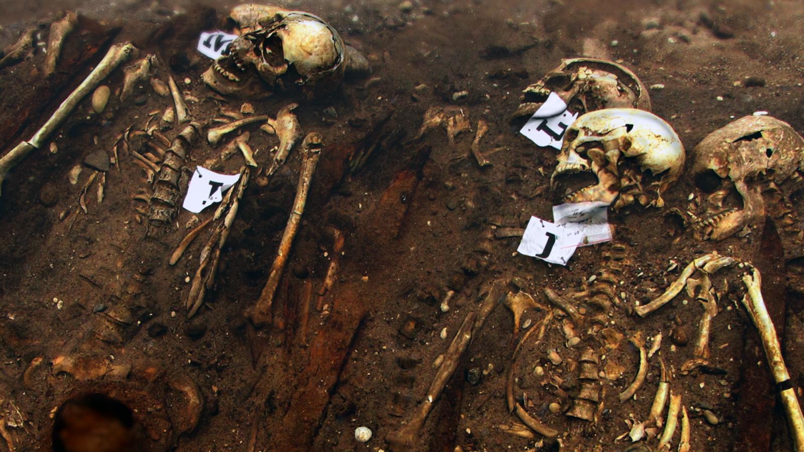 Duplikat von Viking Dead - Viking Burial Ships of Estonia (Episode 2)