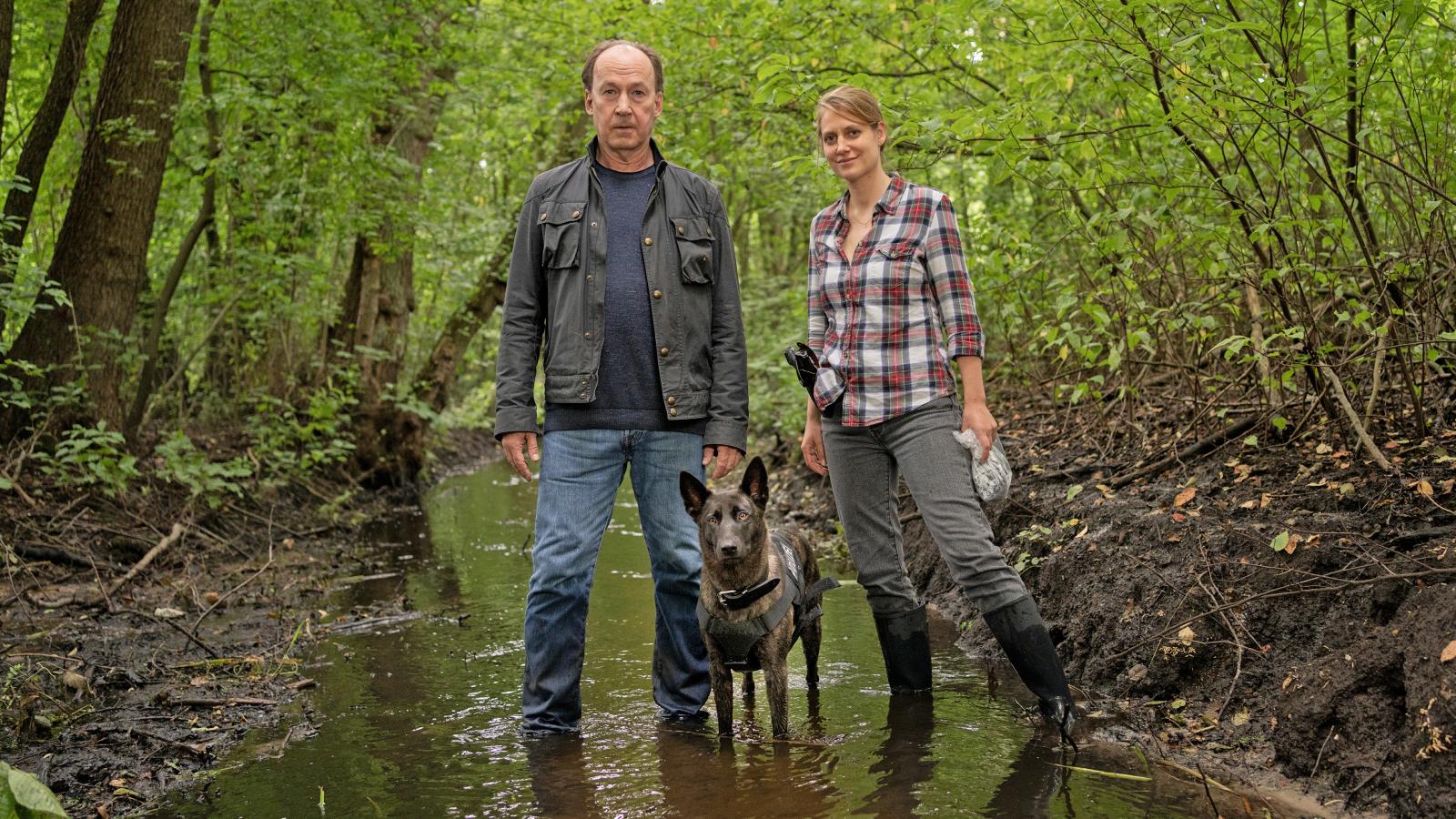 Wendland - Stiller und der Wolf im Schafspelz