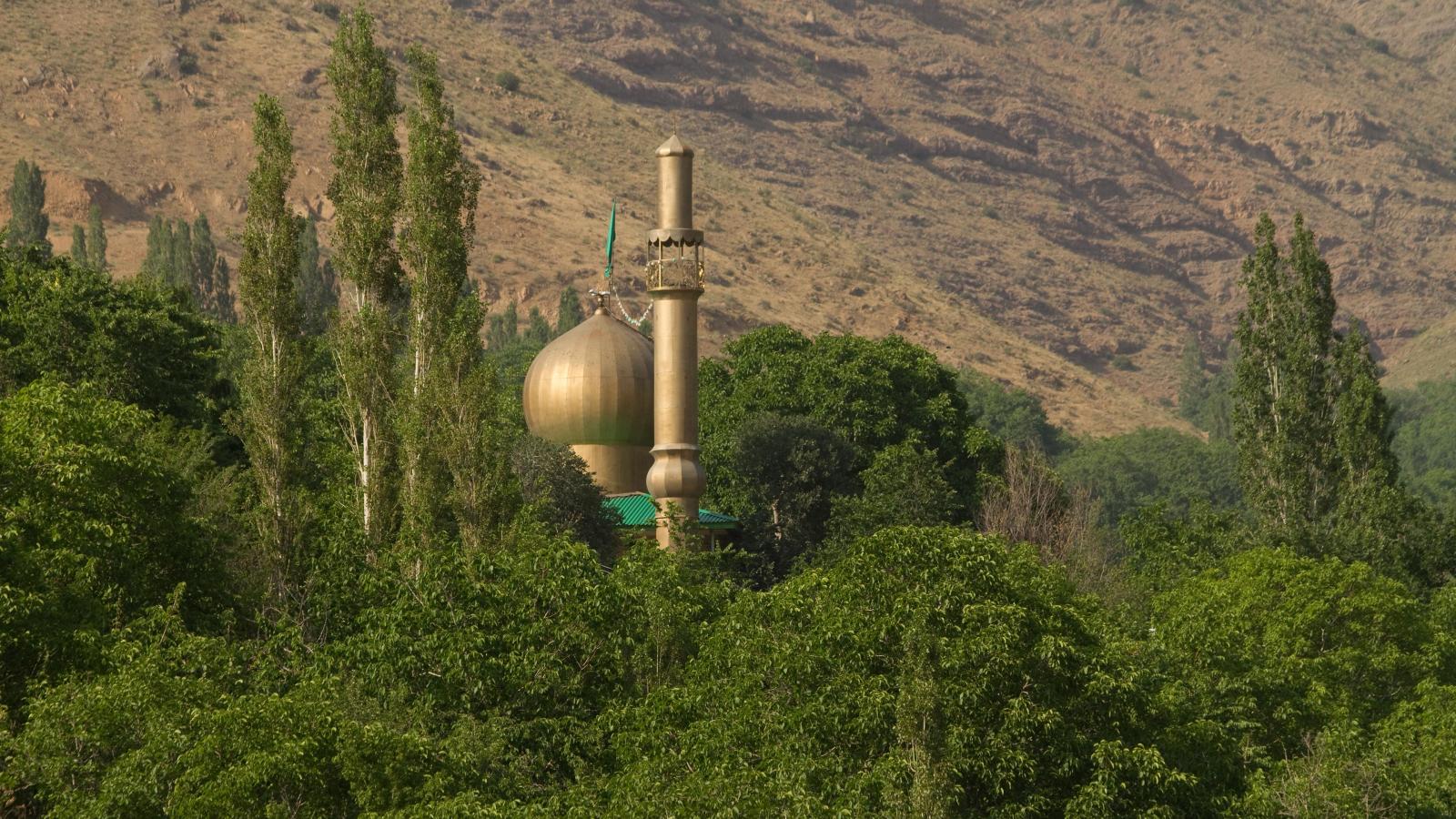 Wilder Iran: Into the Green North