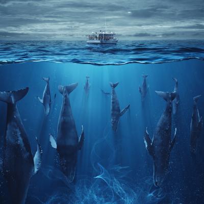 The Swarm