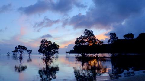 Iriomote – The Fabric of Life / Japans Garden Eden – Die Insel Iriomote