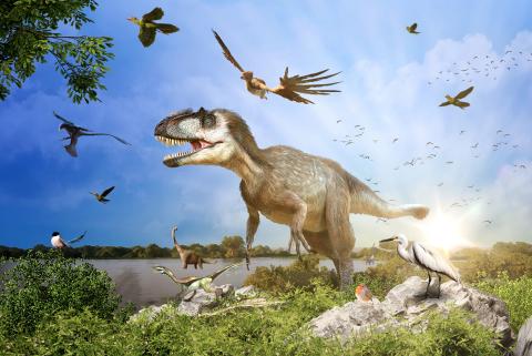 Rise of Birds - Dinosaurs among us