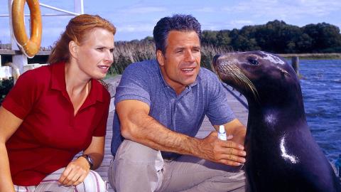 Hello Robbie / Hallo Robbie