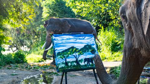Wild about Art