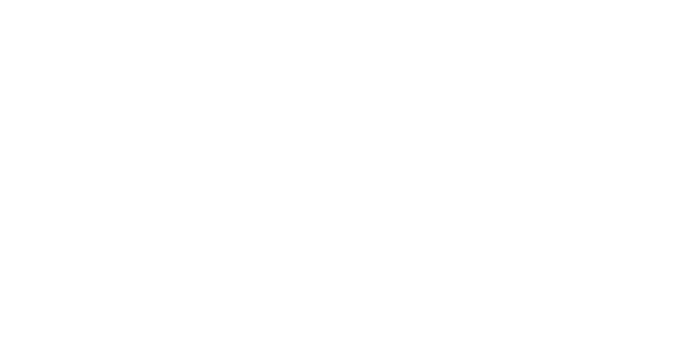 Venice TV Award